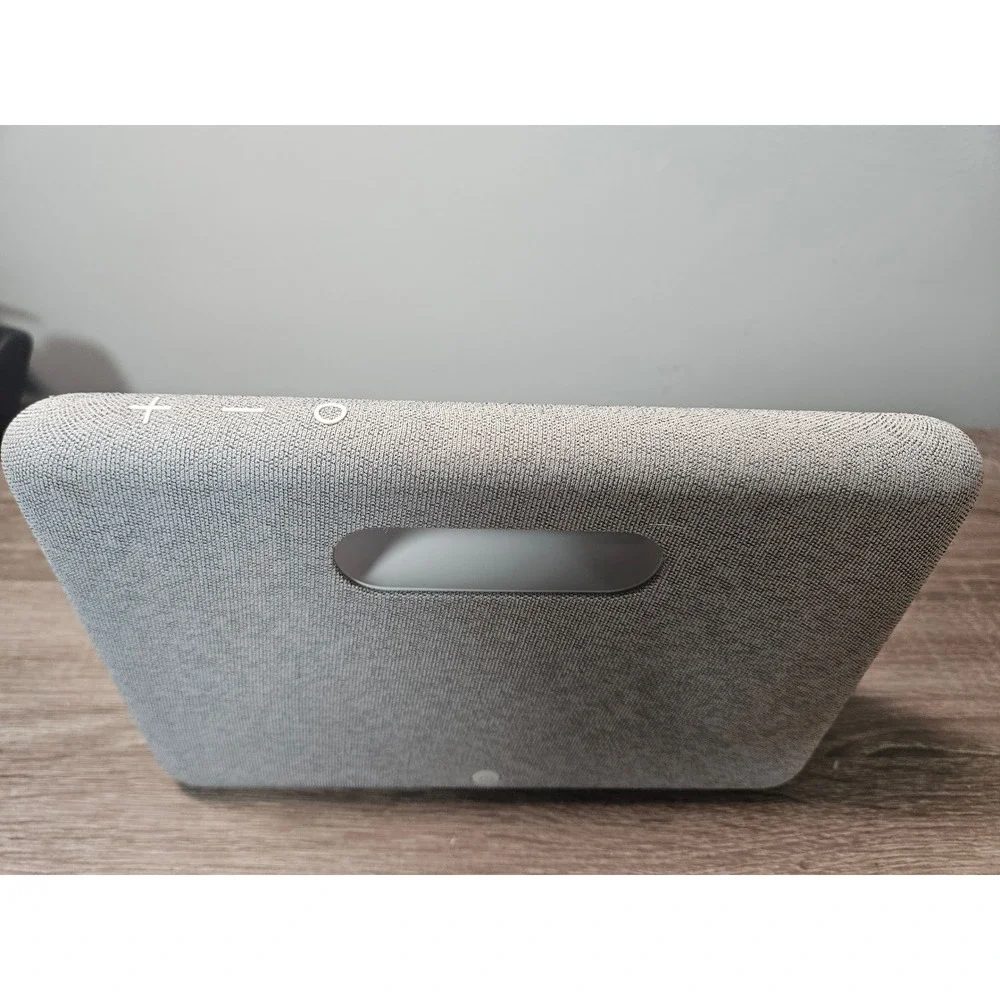 Facebook portal go